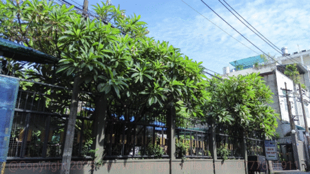 Đất + Nhà Mặt tiền Đường 19 Gigamall, Thủ Đức